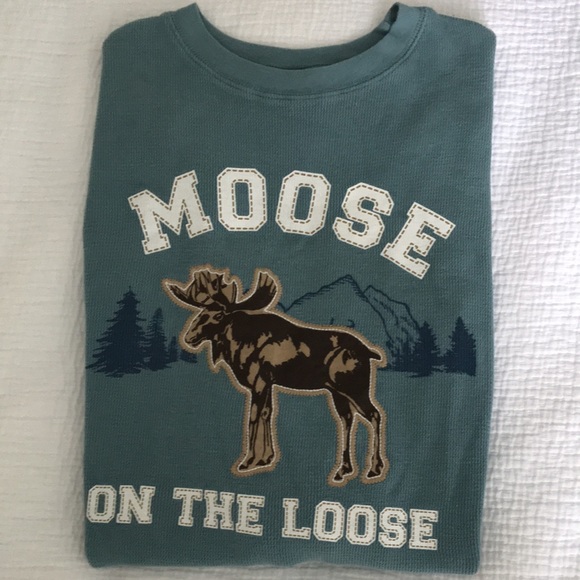 *️⃣ 2/$30 Gymboree Boys long sleeve graphic tee - Picture 4 of 6